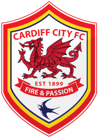 Cardiff City  Premier Skills English